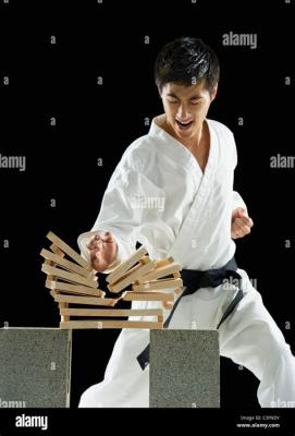 Guiness Book 1000 Board Breaks